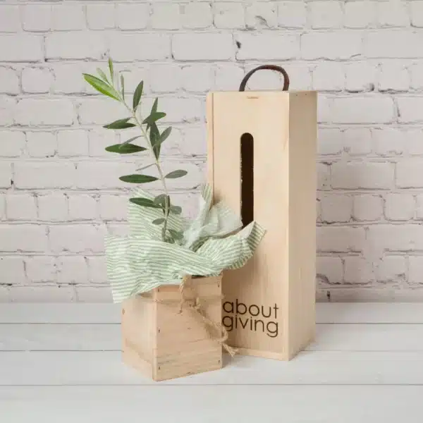 Unique Living Tree Gifts - Single Living Tree Gift