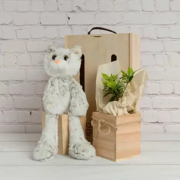 Unique Living Tree Gifts - Tree friend