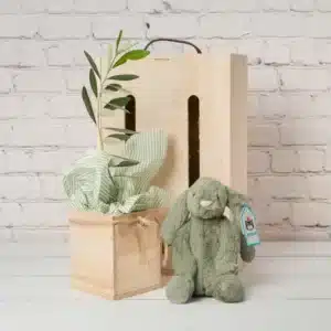 Unique Living Tree Gifts - Tree friend