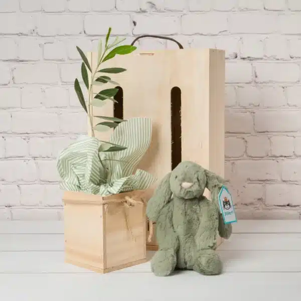 Unique Living Tree Gifts - Tree friend