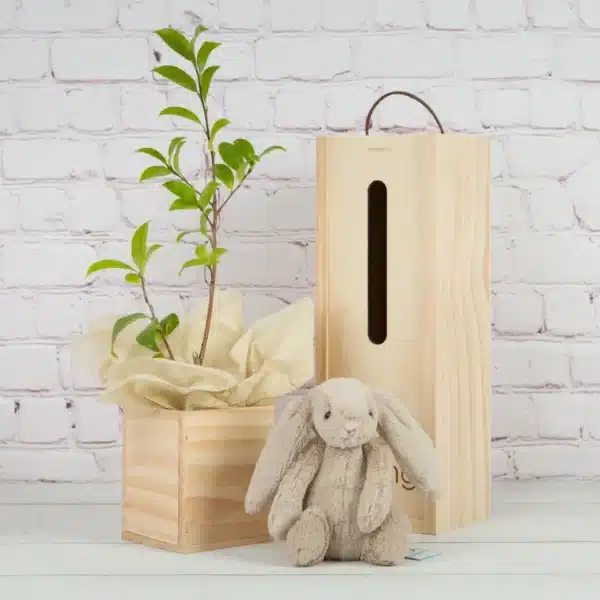 Unique Living Tree Gifts - Tree friend