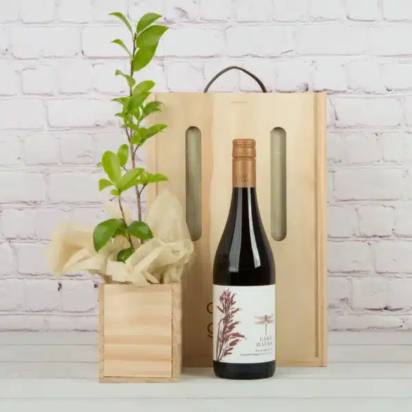 Single Living Tree Gift - Living tree wine